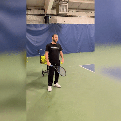 SparkFT GIF