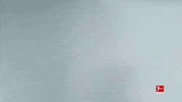 Borussia Moenchengladbach Hello GIF by Bundesliga