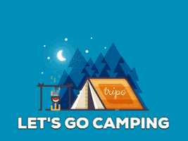 Travel Camping GIF by tripo