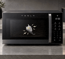 Tesla Ev GIF