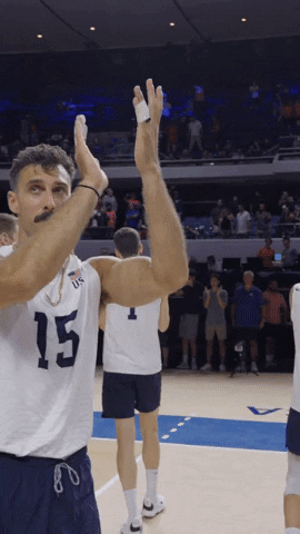 American Love GIF by Volleyball World