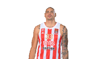 Kkcz Delije Sticker by BC Crvena zvezda