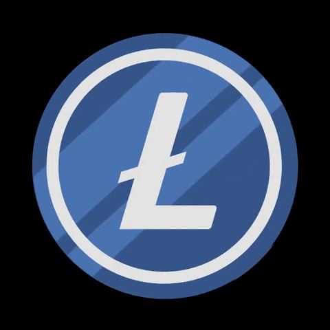 Crypto Ltc GIF by Litecoin
