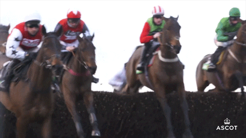 Horse Racing Jump GIF by Ascot Racecourse - Find & Share on GIPHY