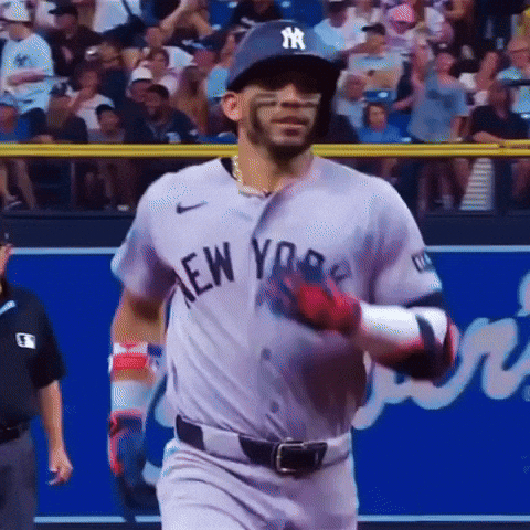 New York Yankees Mlb GIF