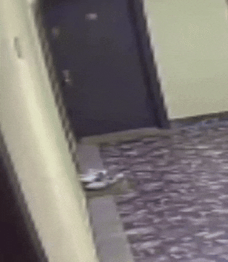 Seaniebfit GIF