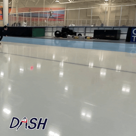 Team Squad GIF by DASH Skating