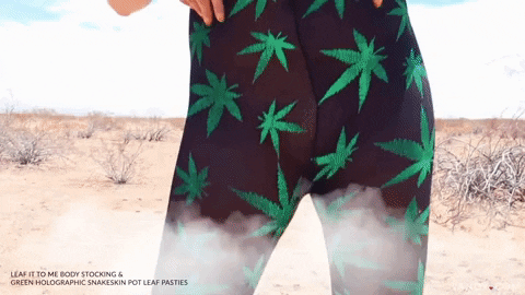 Weed Cannabis GIF by Yandy.com - Find & Share on GIPHY