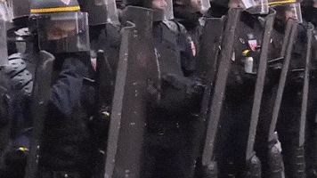 Gilets Jaunes GIF by systaime
