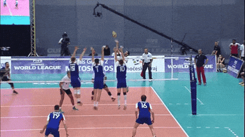 World League Yes GIF by Volleyball World