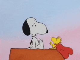 Valentines Day Woodstock GIF by Peanuts