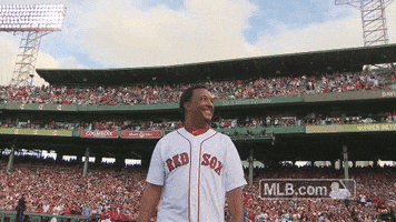 Pedro Martinez Sport GIF by MLB - Find & Share on GIPHY