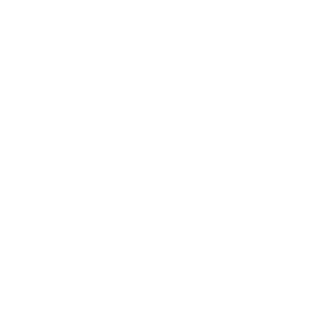 FLM AUTO & RENT Sticker