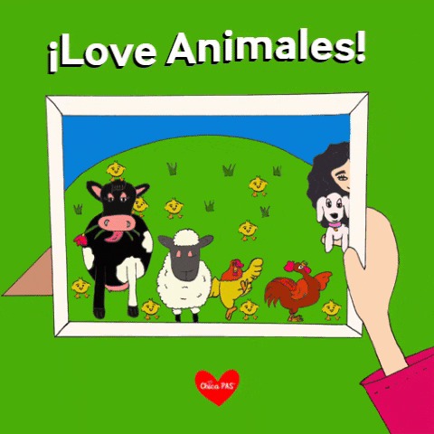 ChicaPAS animales chica pas love animales GIF