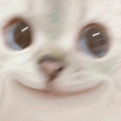 Cat GIF