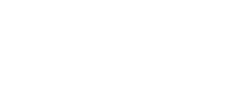 Summer Calligraphy Sticker