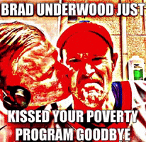 Fighting Illini Illinois GIF