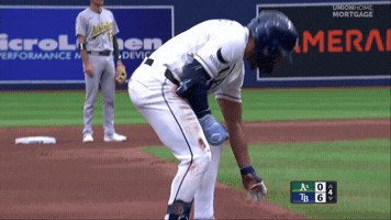 Celebrate Tampa Bay Rays GIF by MLB
