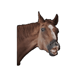 Gut Aiderbichl Sticker