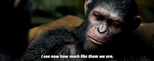 planet of the apes GIF
