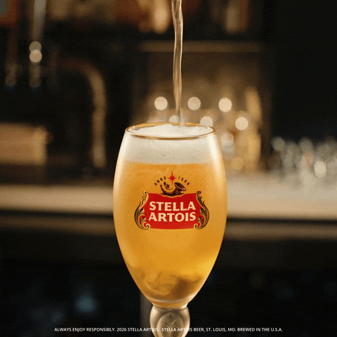 Fifa World Cup Soccer GIF by Stella Artois