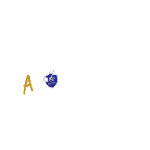 Janus Basket Fabriano - Official Profile Sticker