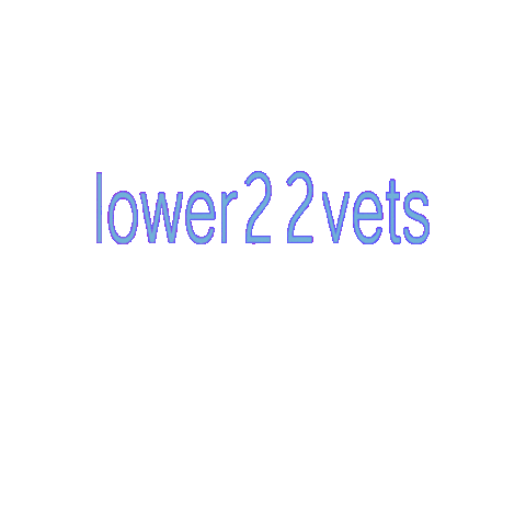 lower22vets Sticker