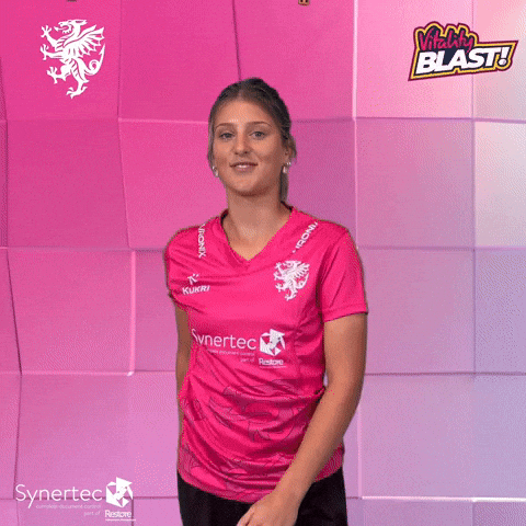T20 Vitality Blast GIF by Somerset County Cricket Club