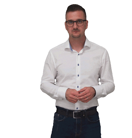 Viktor Janovsky Sticker