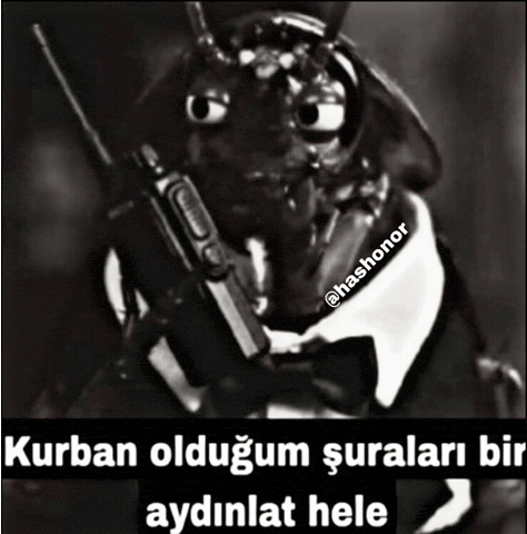 Hashonor GIF