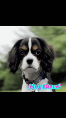Greetings Hello GIF