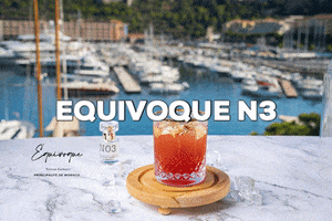 equivoque_mc GIF