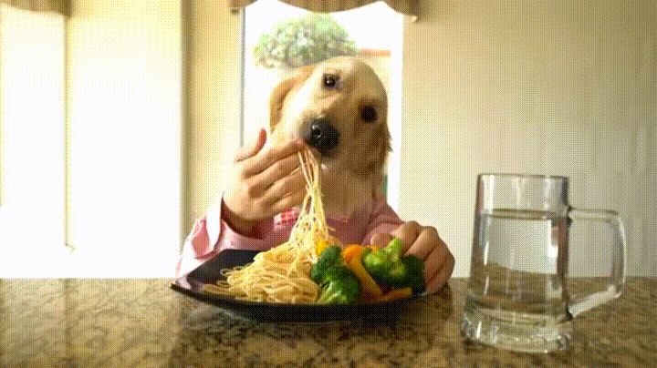 giphy.gif?cid=4d1e4f295f55cfceaa807dddd5bd9f5aef064e4b2abe3700&rid=giphy.gif