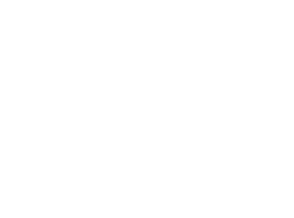 FLAIR Fürth Sticker