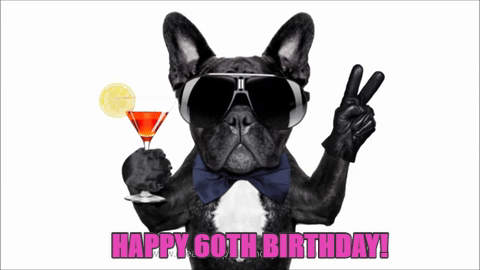 60th Birthday Gifs Get The Best Gif On Giphy