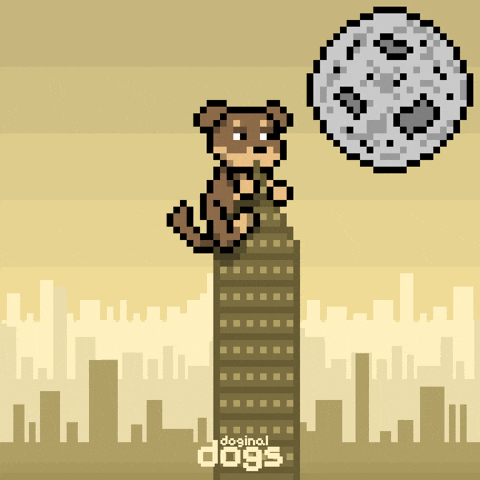 Winning New York GIF by Doginal Dogs