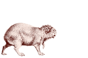 Beestig Jeugdwerk Gent Sticker