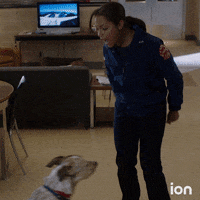 Barking Chicago Fire GIF by ION
