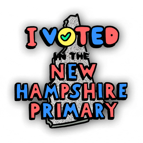 New Hampshire Go Vote GIF