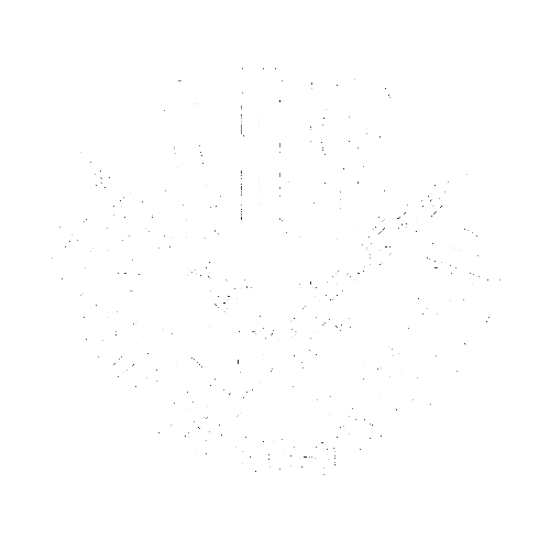 THIS Skateshop Sticker