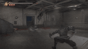 Ninja Gaiden GIF