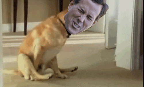 Tak landsby Modstander Dog-dragging-ass GIFs - Get the best GIF on GIPHY