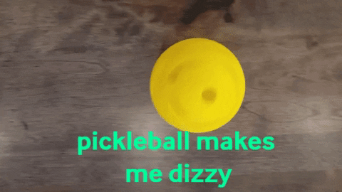Pickleball GIF - Find & Share on GIPHY