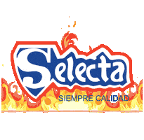 ESELECTA01 Sticker