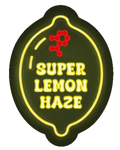 Neon Lemon Sticker by lolo