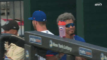 New York Mets Horse GIF by SNY