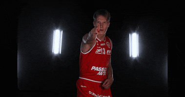 Vilpas Vikings GIF