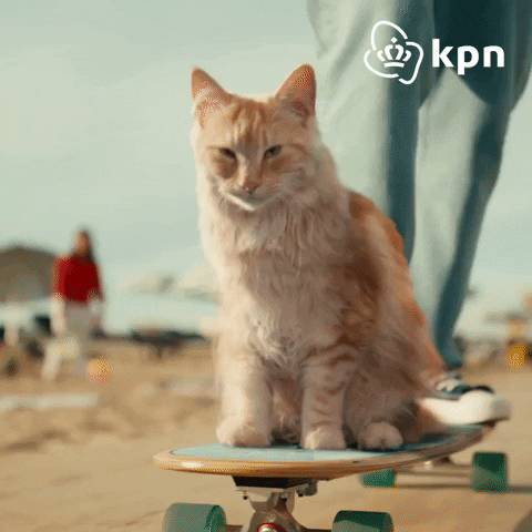 Skateboard Vibing GIF by KPN