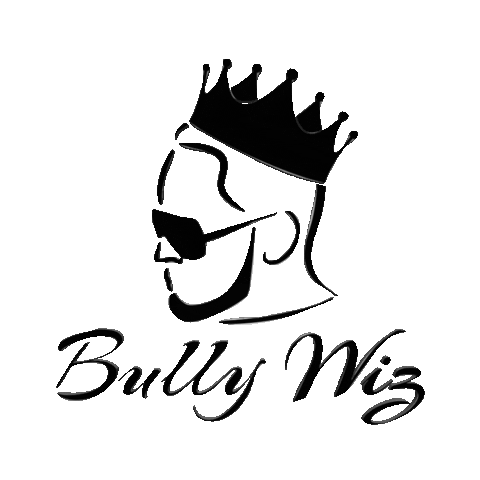 Bully Wiz Sticker