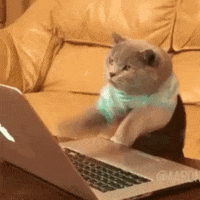 Funny GIFs - Get the best GIF on GIPHY